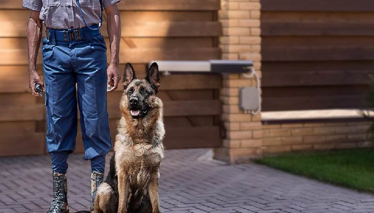 K9 Patrol Services